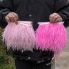Feather1 Meter 8-10CM Multicolor Real Ostrich Feather Trims Ribbon Pink Plumes for Dress Clothing Wedding Decoration Sewing DIY Crafts