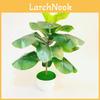 Planta Artificial Ficus Pandurata Hance Com Folhas de Plástico Para Decoração de Casa e Presente