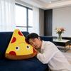 Cuscino Peluche Pizza Burger e Patatine con Morbido Peluche Corto per Arredo Salotto e Regalo per Bambini