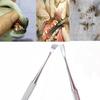 Stainless Steel Double Ended Dental Calculus Removal Tool Tooth Scaler For Dogs And Cats