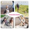 Automatic Retractable No-Choke Dog Leash for Walking Two Dogs