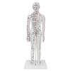 Teaching Acupuncture Meridians Model Women Acupuncture Model with Base Acupuncture Needle Set