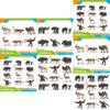Kids Wild Asian Elephants Sloths Musk Oxen Tapirs Animal Pvc Models With Static Design For Learning And Collection