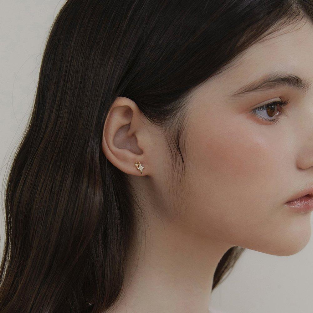 (925 Silver) Super Shine Earrings Ec3137