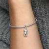 Ciondolo Perline Charm Serie Multiple Applicabile a Gioielli Originali & Creazione Fai da Te Bracciale Unico da Donna Bangle Gioiello Regalo