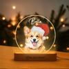 Individuelles Acryl-LED-Nachtlicht Personalisierte Haustierporträt-Design Mit Namensgravur Sentimentales Geschenk Für Tierliebhaber
