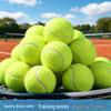 Training Tennis Balls - High Elasticity & Durable, Ideal for Beginners, Customizable with Logo