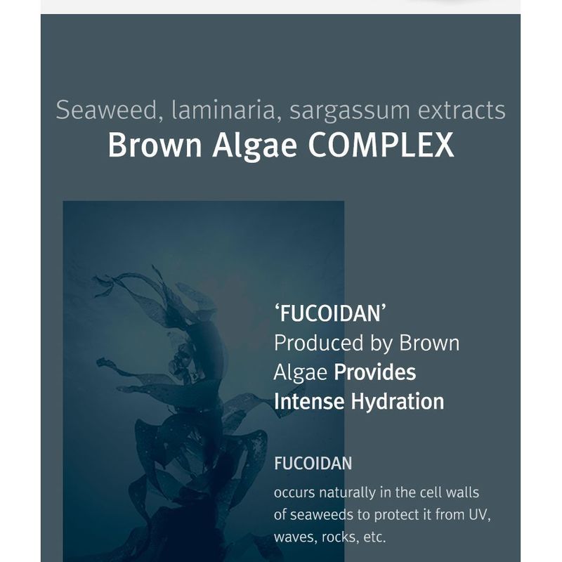 MIZON - Phyto Plump Collagen Serum