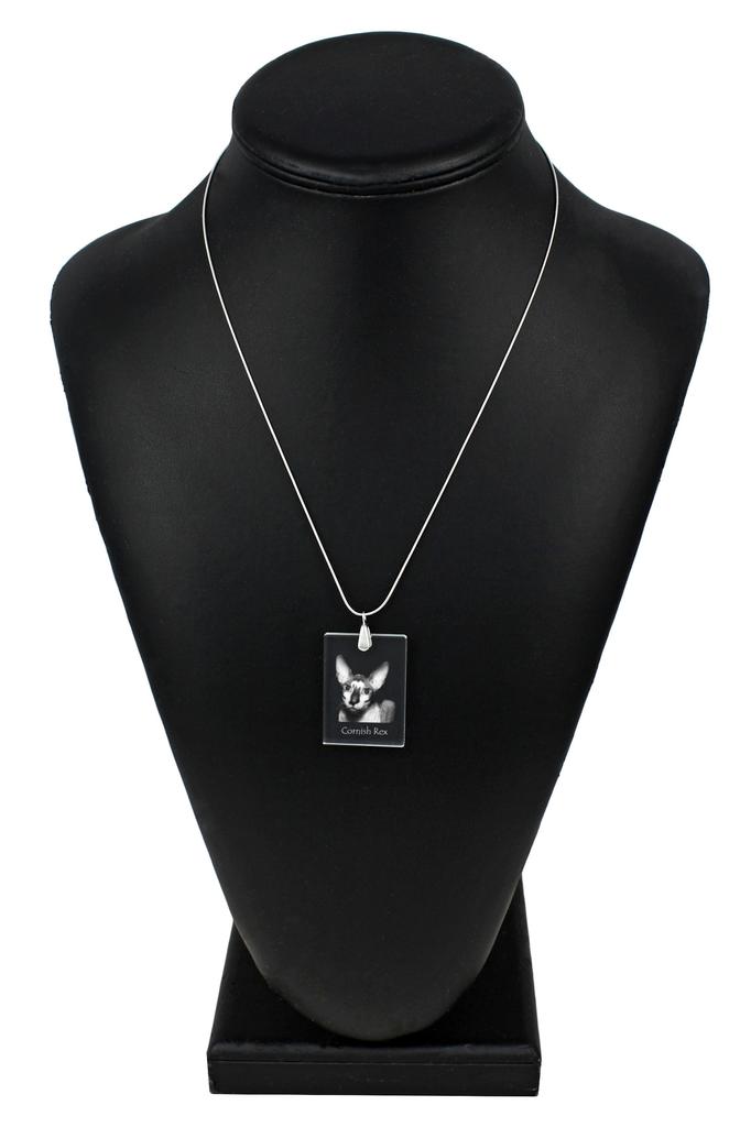 Cornish Rex – Crystal pendant with cat, silver necklace with photo | Art-Dog