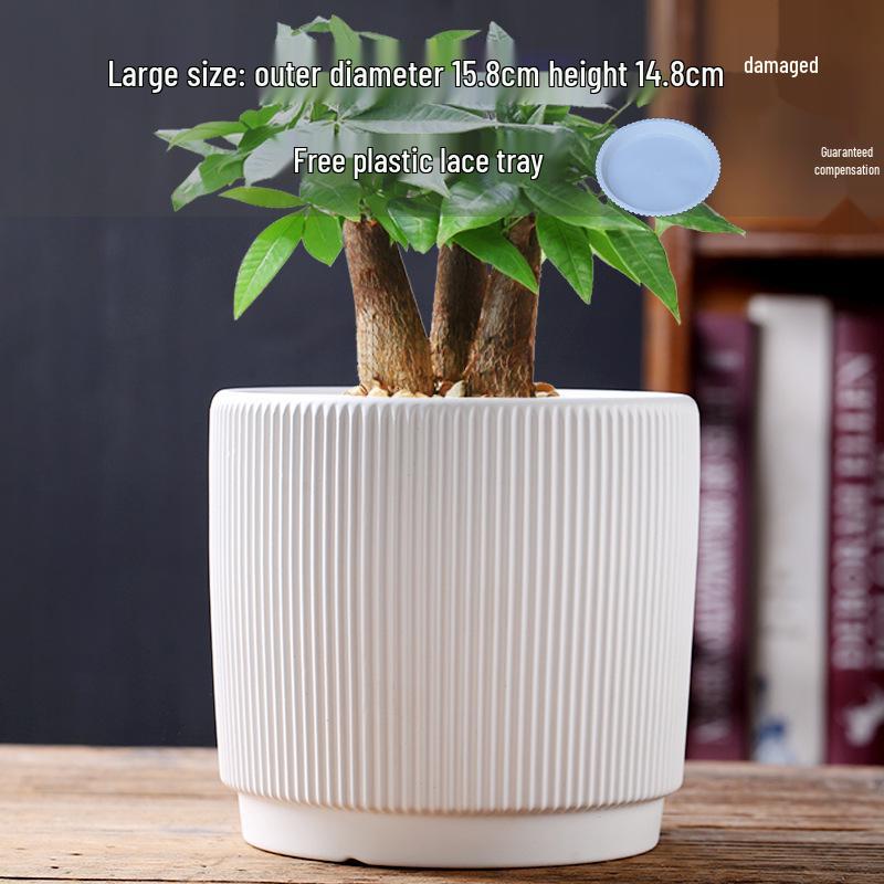 Elegant White Ceramic Flower Pot with Tray - Ideal for Ivy, Spider Plants, and Succulents
