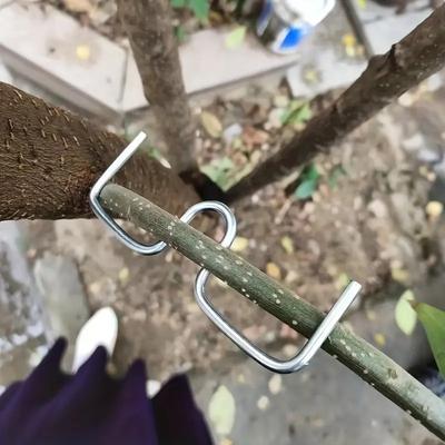 Metal Fruit Tree Training Set for Shaping and Pruning (no Tools Required) 10 Piece Heavy-duty Branch Bending Machine