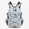 Borealis M Cool Gray