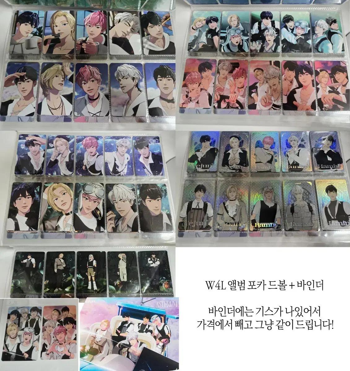 

PLAVE W4L Waypolop Alpod Ball + Binder Used