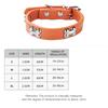 Adjustable Pet Collar Bone Accessory Dog PU Leather Traction Rope Popular Dog Collar
