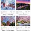 Photo Studio Calendar Elegant Kyoto 2026 Wall Calendar Landscape Holder Includes 12 Smartphone Wallpapers [Paper Included, 300x400]