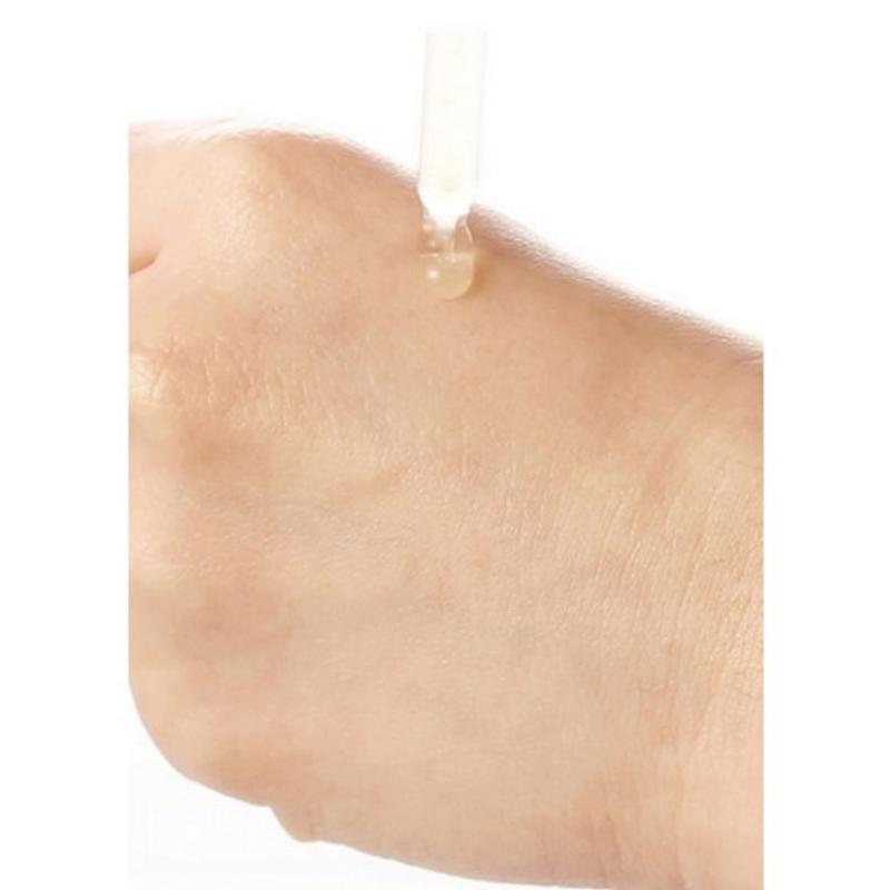 MISSHA Time Revolution Night Repair Probio Violet Ampoule 5th Generation 50ml