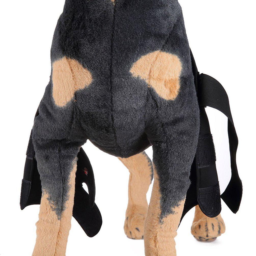 protective dog leggings