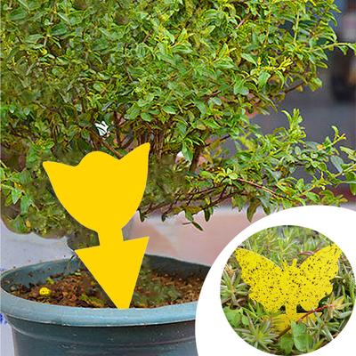 Insect Catcher for White Mosquitos Gnats Flying  Disposable Glue Trappers