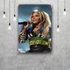 Lil Kim Decor Vintage Metal Signs Tin Signs Captain Poster Decor for Bar Pub Club Man Cave Wall Decoration