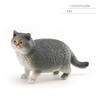 1pc Mini Realistic Cat Figurine Set Cute Orange Tabby British Shorthair Toy Kittens for Kids Decoration Resin Decorative Ornaments