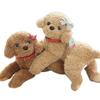 35/55cm Real Life Teddy Dog Poodle Plush Toys Suffed Animal Doll For Christmas Birthday Gift