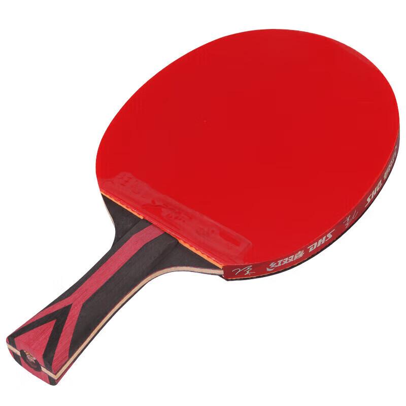 DHS Hurricane 8-Star Table Tennis Racket
