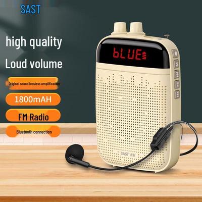 SAST K22 Little Bee Portable Amplifier & Bluetooth Speaker CN Plug (adapter Included)