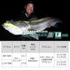 DAIWA Seabass Lure C Wake R111FSSR CH Inakko
