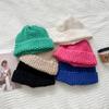 Coarse knitted pineapple pattern wool hat, plain and versatile in autumn and winter, big head and small face, warm ear protection wool hat