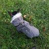 Pet Dog Clothes for Small Dogs Winter Warm Puppy Cat Coats Jackets Chihuahua French Bulldog Jacket Pets Clothing Products XXL