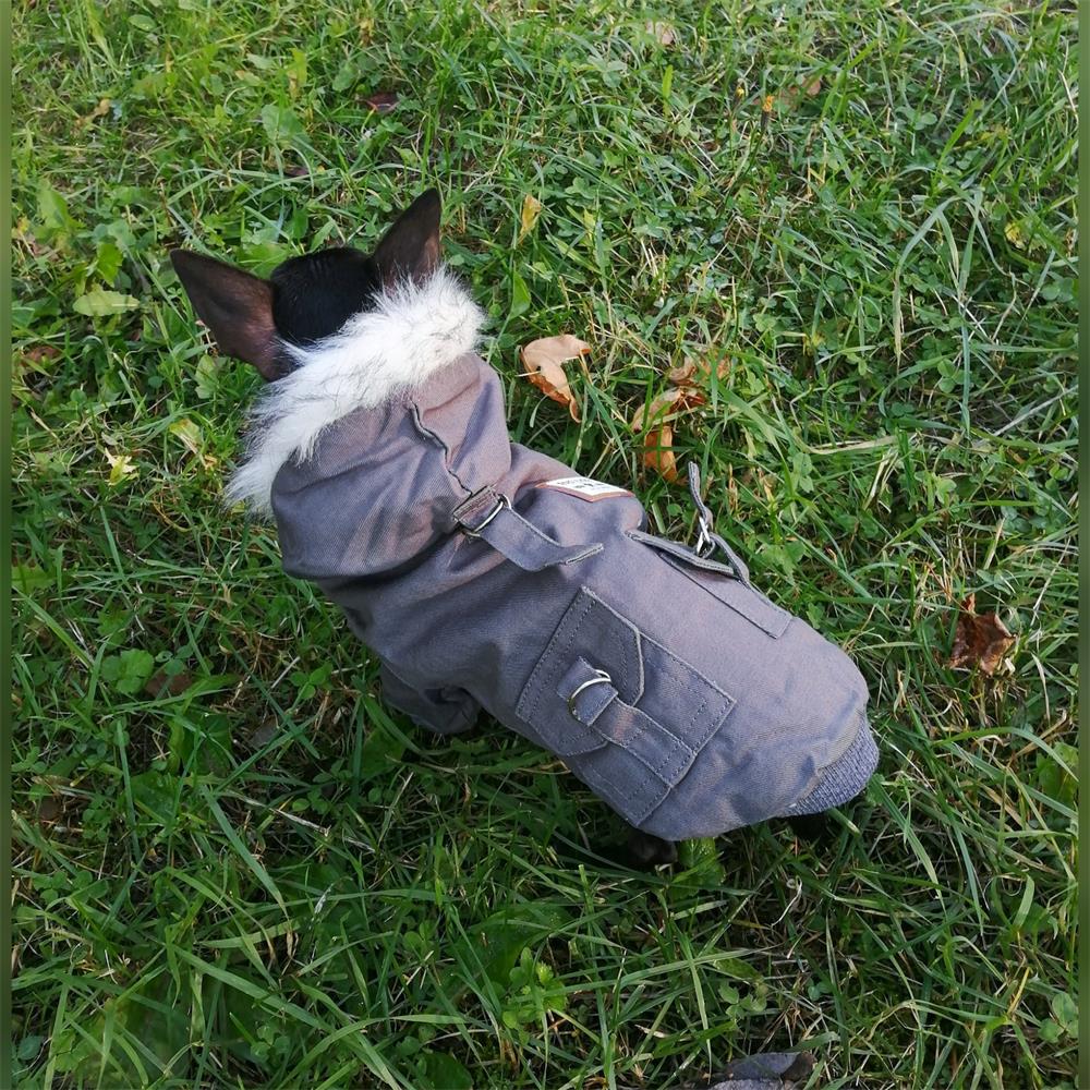 Pet Dog Clothes for Small Dogs Winter Warm Puppy Cat Coats Jackets Chihuahua French Bulldog Jacket Pets Clothing Products XXL