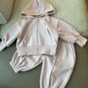 Kinder Sweatshirt Sets Kleidung Frühling Baby Jungen Mädchen Langarm Lässige Kapuzenjacke+Hose 2 Teile Herbst Kinder Trainingsanzug