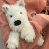 British Simulation West Highland Puppy Scribbled Dog Doll Hairy Scottish Pure Raw Puppy Toy Female