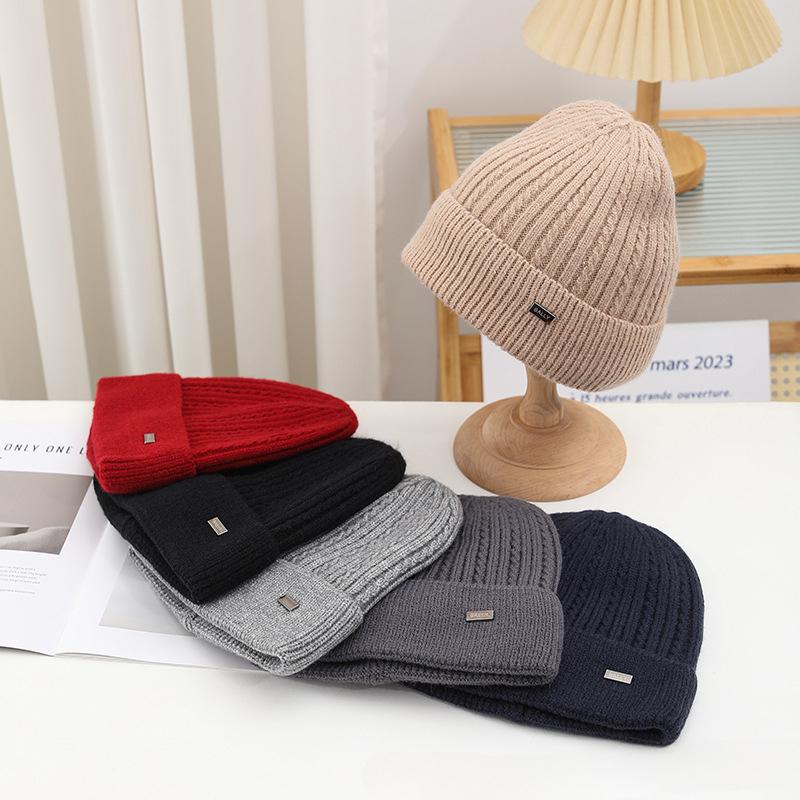 Autumn and Winter Hat Men's Plush New Korean Knitted Hat Versatile Warm Ear Protection Thickened Fashionable Wool Hat Cold Hat