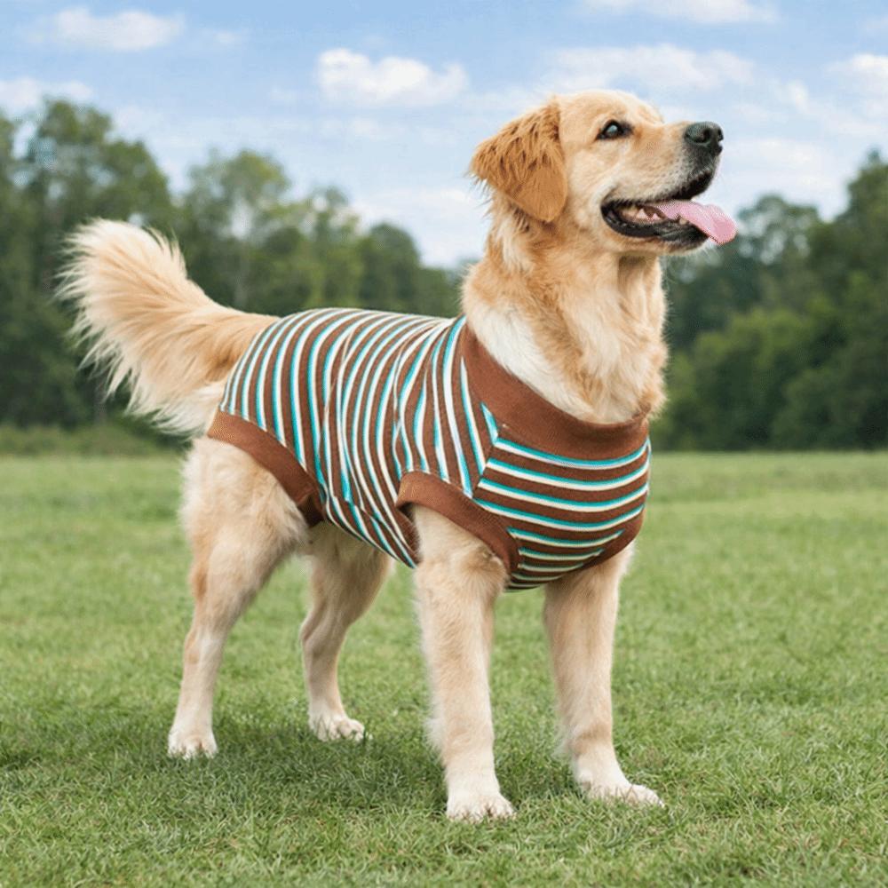 Dog Jumpsuit Striped Dog Sterilization Suit Washable Comfortable Fleece Anti-Licking Vest Warm Post-Operative Suit Wound Care