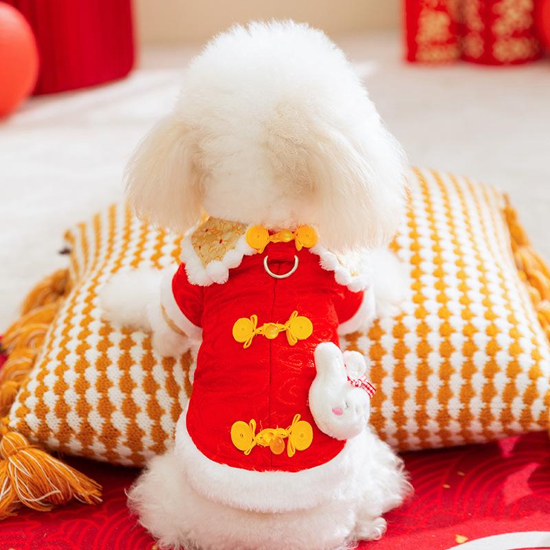 New dog Tang clothing festive Chinese New Year teddy bear two feet warm New Year two feet cat cotton coat pet clothing