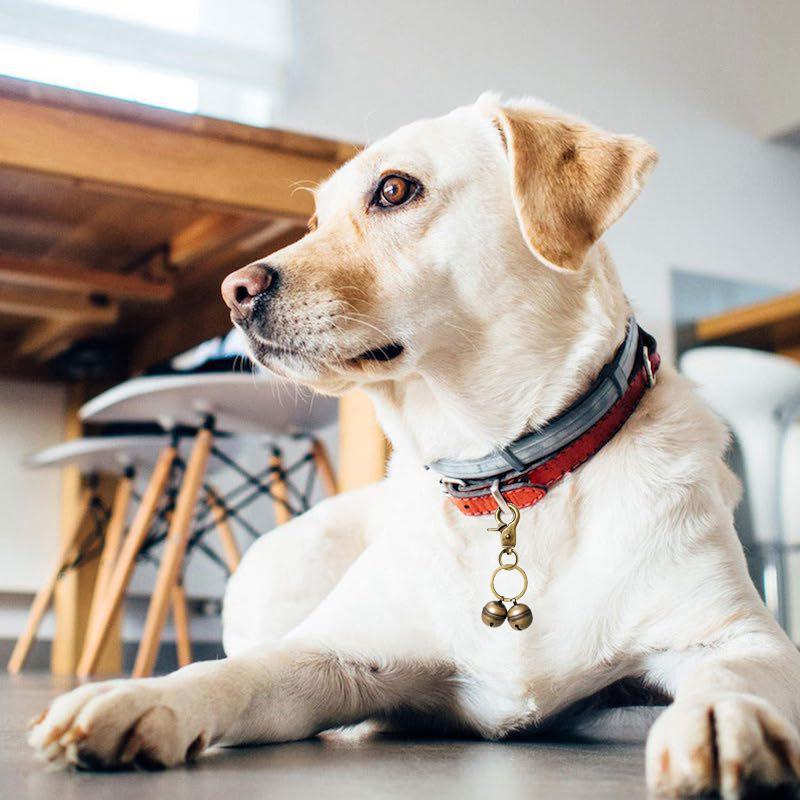 

Cat & Dog Collar Bell, Pack Of 2, Extra Loud Dog Bell For Pet Tracking & Saving Wildlife, Birds, Split Ring & Lobster Bell Clip бронзовый