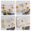 Poppy Resin U-Shape Flower Leaf Earring Mold