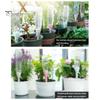 Smart Watering System Adjustable Self Spike Plant Drip Slow Release Automatic Device for Potted Plants Indoor Outdoor Gardening Houseplant