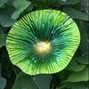 [3D] Outdoor Garden Colorful Metal Morning Glory Decoration Iron Art Simulation Flower Wall and Ground Ornaments Courtyard Landscape Inserts