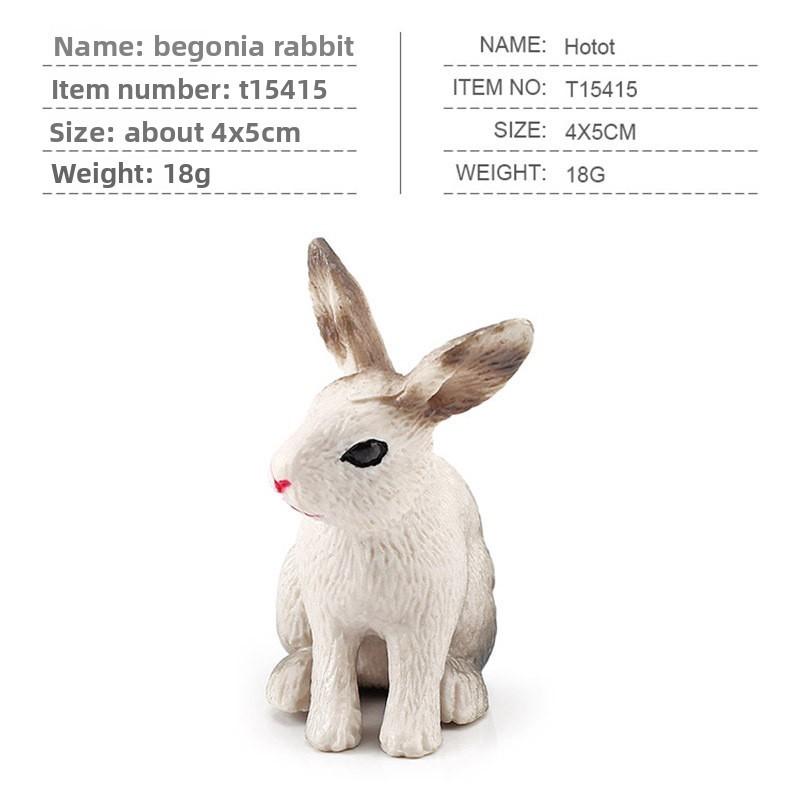 Squirrel Animal Model Set With Pvc Realistic Figures For Educational Play And Collecting Enthusiasts