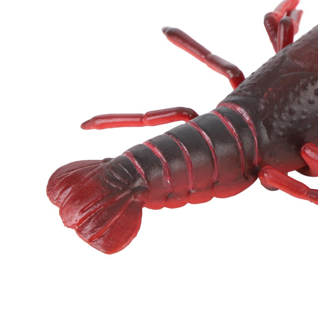 4 Pcs Lobster Life Cycle Model Set Realistic Learning Toys Growth Stage Lifelike Lobster for Home