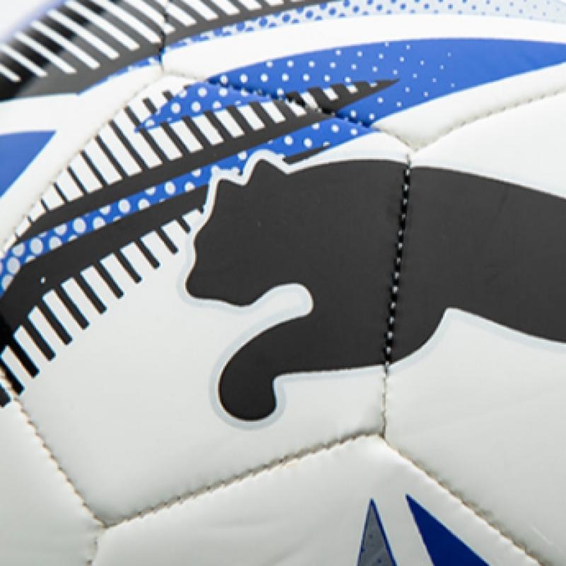 Puma Galleria Puma Fußball Nr. 5 Fußballspiel Big Cat Ball