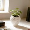 Sweet Strawberry Storage Box Ornaments Mini Plant Pot Cute Fruit Shaped Desktop Planter  Office