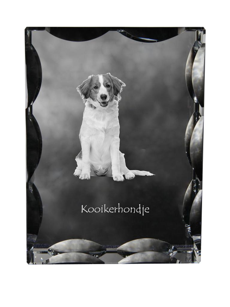 Kooikerhondje - crystal with a picture of a dog, glass statuette with a picture, unique frame with a picture from Art-Dog brand