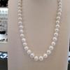 Atria Freshwater Pearl N White Pearl (8mm) 46cm Necklace JQNNEJJ0009WHF