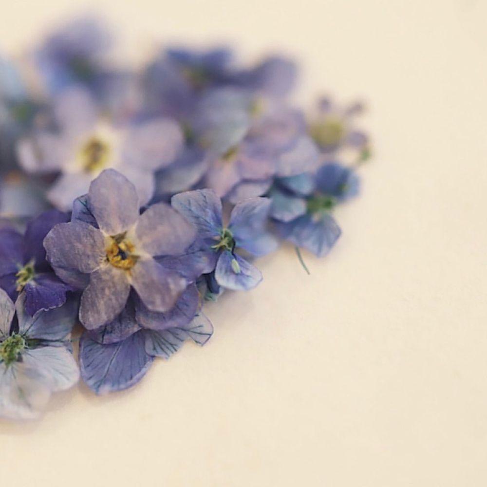 Pressed Flower 3D Nail Art Decorations Manicure Accessories Nail Art Dried Flower DIY Nail Decals
