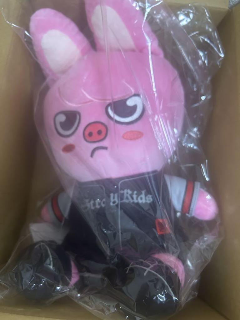 [USED] Final Price Reduction Stray Kids Waltz Plush Toy/STADIUMDWAEKKI