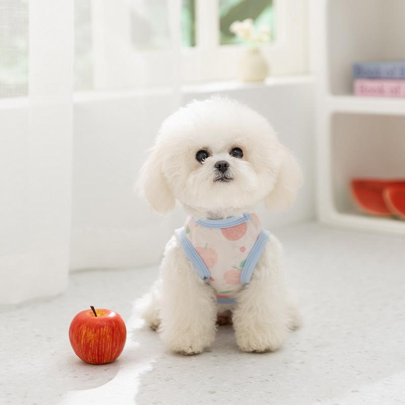 Dünne atmungsaktive Mesh-Weste mittelgroßer und kleiner Hund Teddy als Bär Katze Frühling und Sommer Haustierkleidung Welpenhundkleidung
