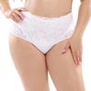 Women Plus Size Panties Sexy Lace Comfortable and Breathable Middle Waist Lingerie 3Xl - 5Xl - T020